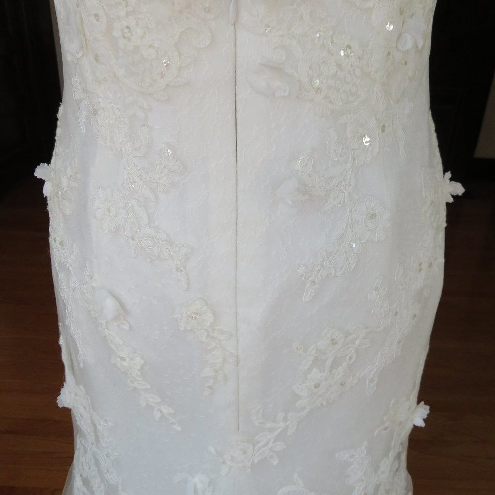 La Sposa by Pronovias Wedding Dress Rochelle - Picture 11 of 13